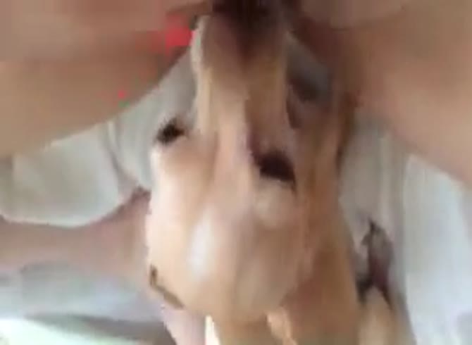 Video :Dog enjoyed licking woman's pussy while she masturbates